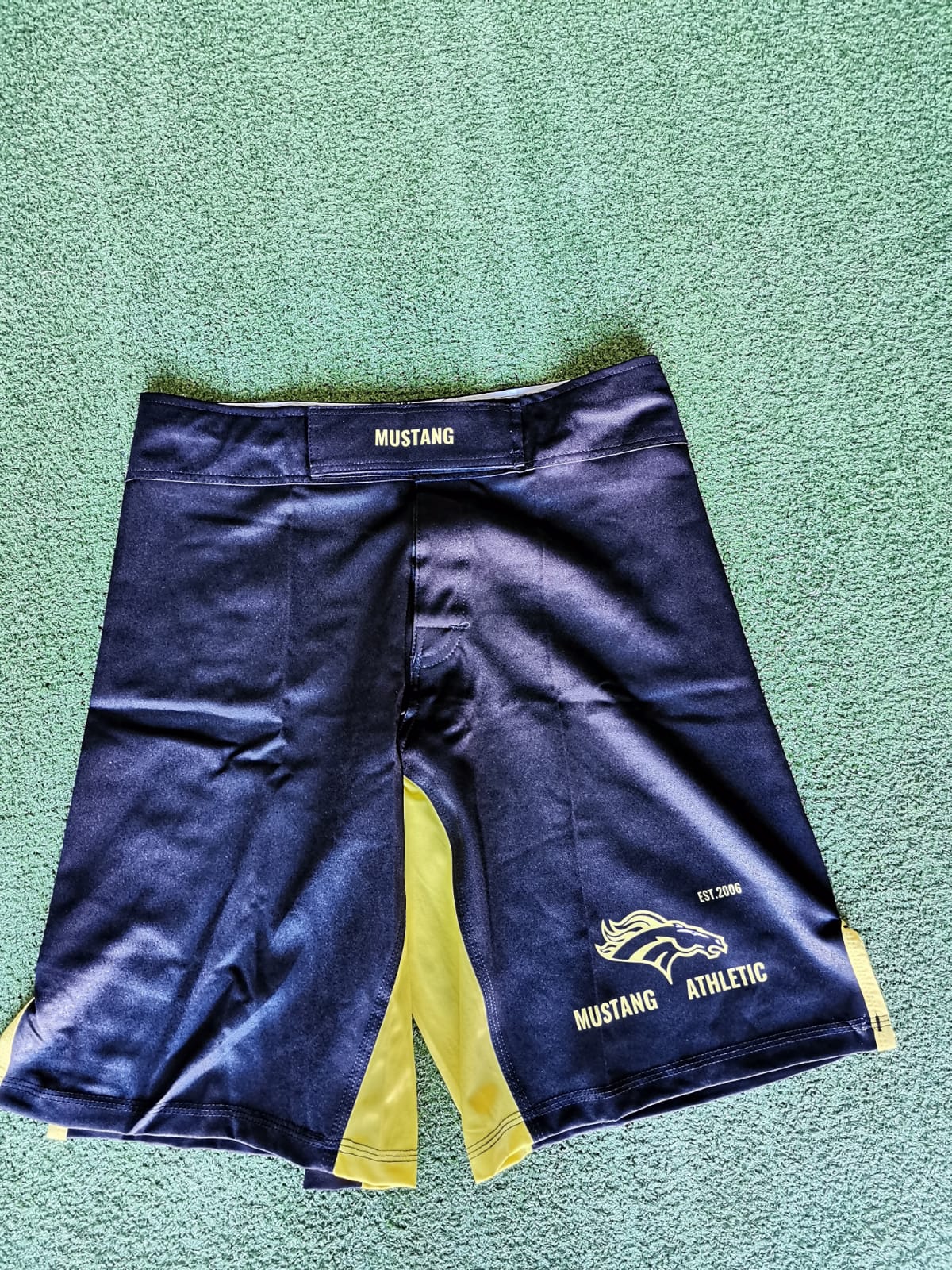 MMA Shorts